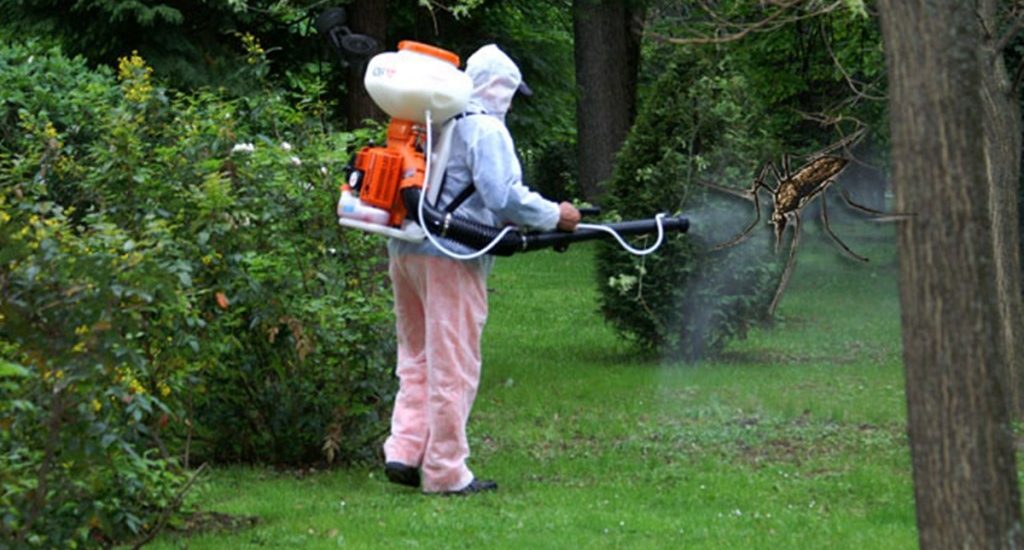 Primaria Oradea a inceput vanatoarea de țânțari. Atentie la parcuri si maluri de ape incepe prima etapa de dezinsectie in oras