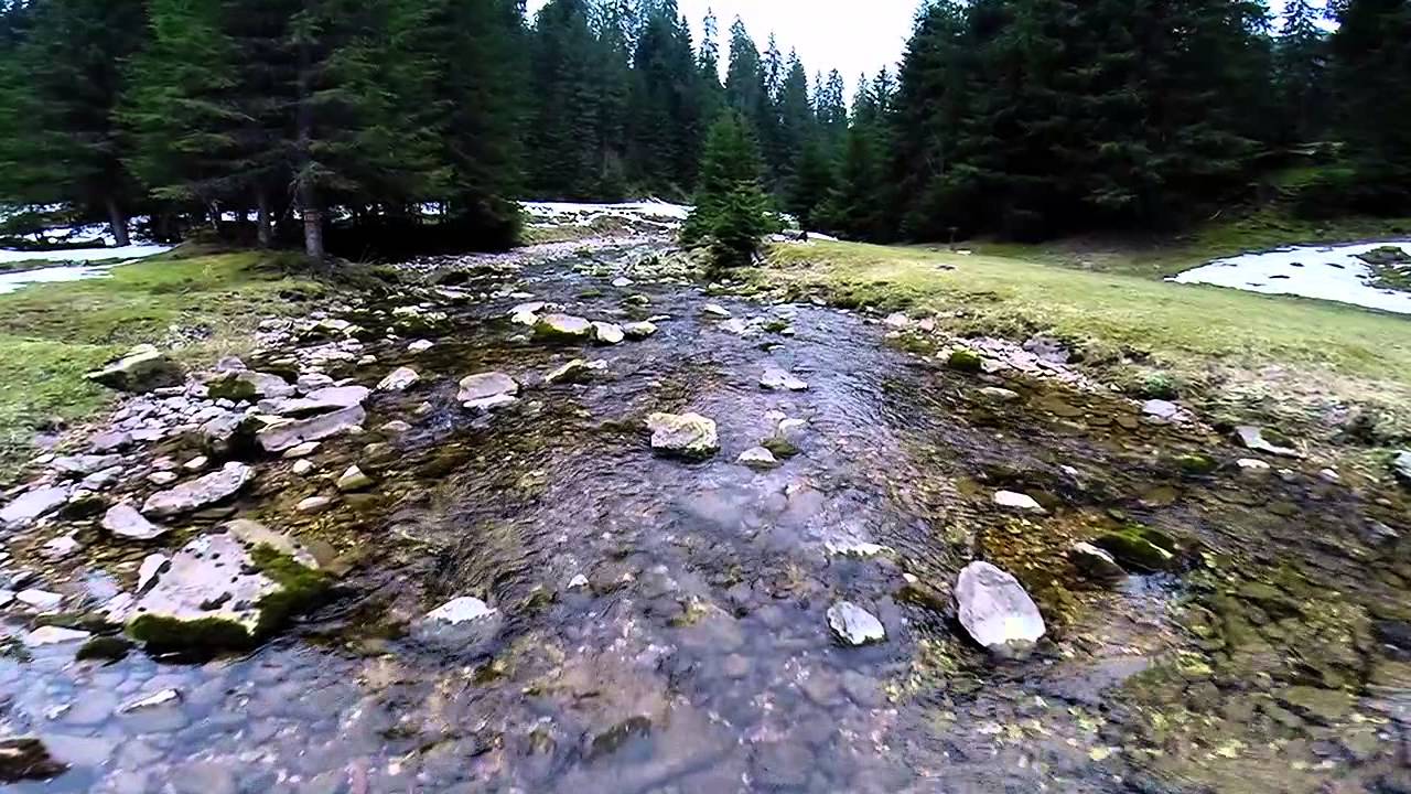 Iubesti Padisul? Compas te invita sa-ti spui povestea