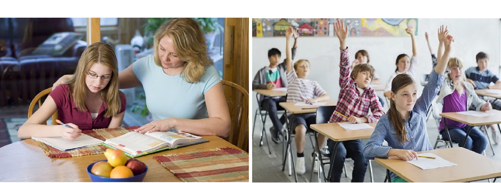 Scoala traditionala vs. Home-Schooling. Top Formalis organizeaza un workshop pentru a discuta aceasta dilema