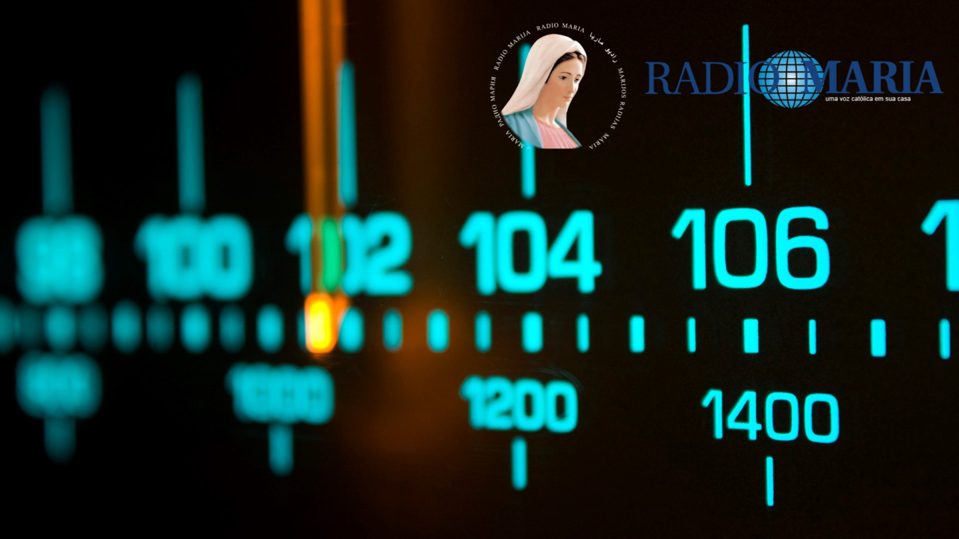 Radio Maria vă invită sâmbătă și duminică să ascultați emisiuni dedicate Zilei Culturii Naționale.