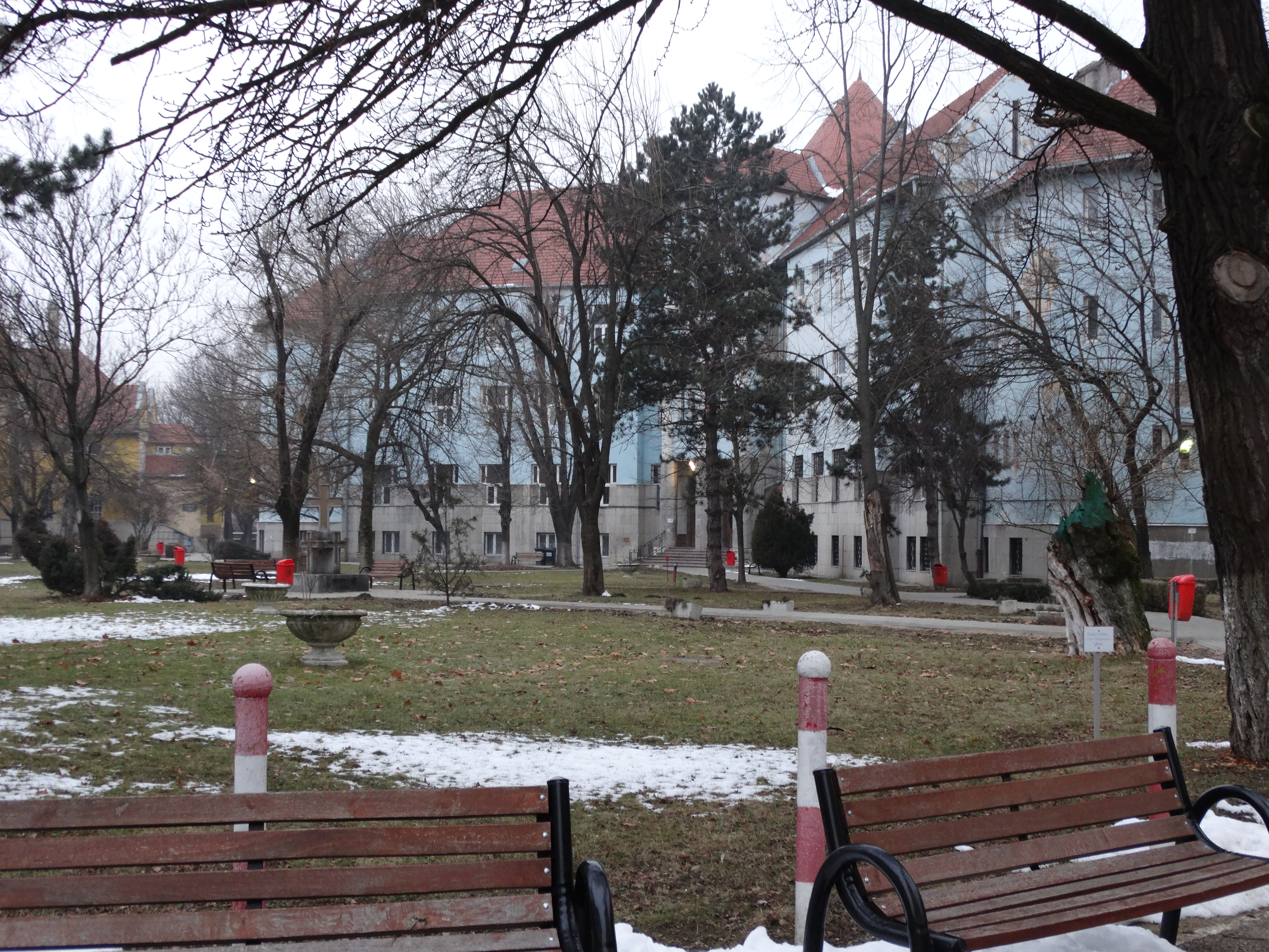 Curtea de Apel Oradea a dat “cu suspendare” “trionomului mitei” de la Facultatea de Științe Socio-Umane a Universității Oradea