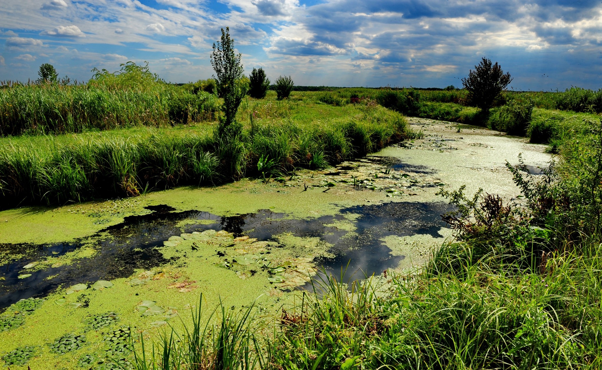 Aqua Crisius, Grupul Milvus și Agenția de Management al Destinației au luat in administrare Parcul Natural Cefa
