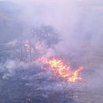 Protectia Mediului Bihor avertizeaza: Incendierea resturilor vegetale se poate lasa cu amenzi