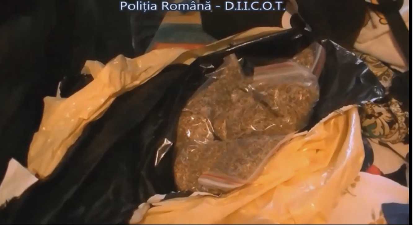 Grupare de traficanti de droguri, din Oradea, destructurata de BCCO. VIDEO