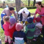 DASO si Primaria Oradea vor deschide o noua cresa, avand in vedere numarul mare de copii aflati pe lista de asteptare
