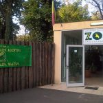 Programul si pretul biletelor la Gradina Zoologica din Oradea