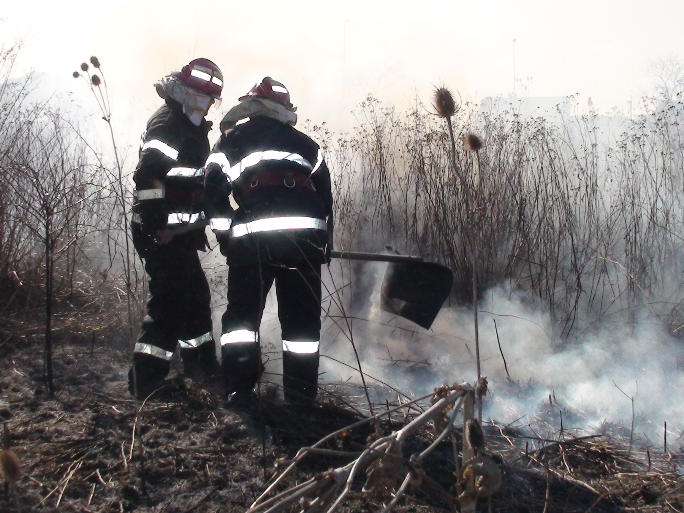 Incendiu pe o suprafata de 114 hectare, in doua zile, pe teritoriul judetului Bihor