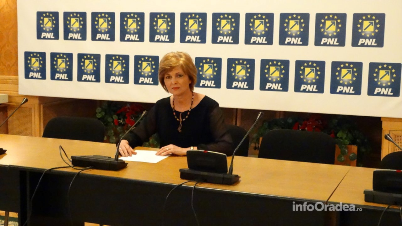 Deputat Florica Chereches: Solicit parlamentarilor Opoziției să nu fie părtași la riscul unui derapaj economic și sanitar cauzat de căderea Guvernului
