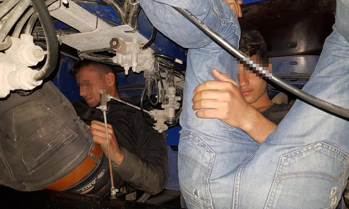 3 sirieni depistati in Vama Bors, ascunsi in sasiul unui TIR (FOTO)