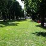 Oradea, oras verde. Primaria Oradea vrea sa impanzeasca orasul cu parcuri, astfel incat suprafata de spatii verzi sa ajunga la aprtoape 30mp/cap de locuitor