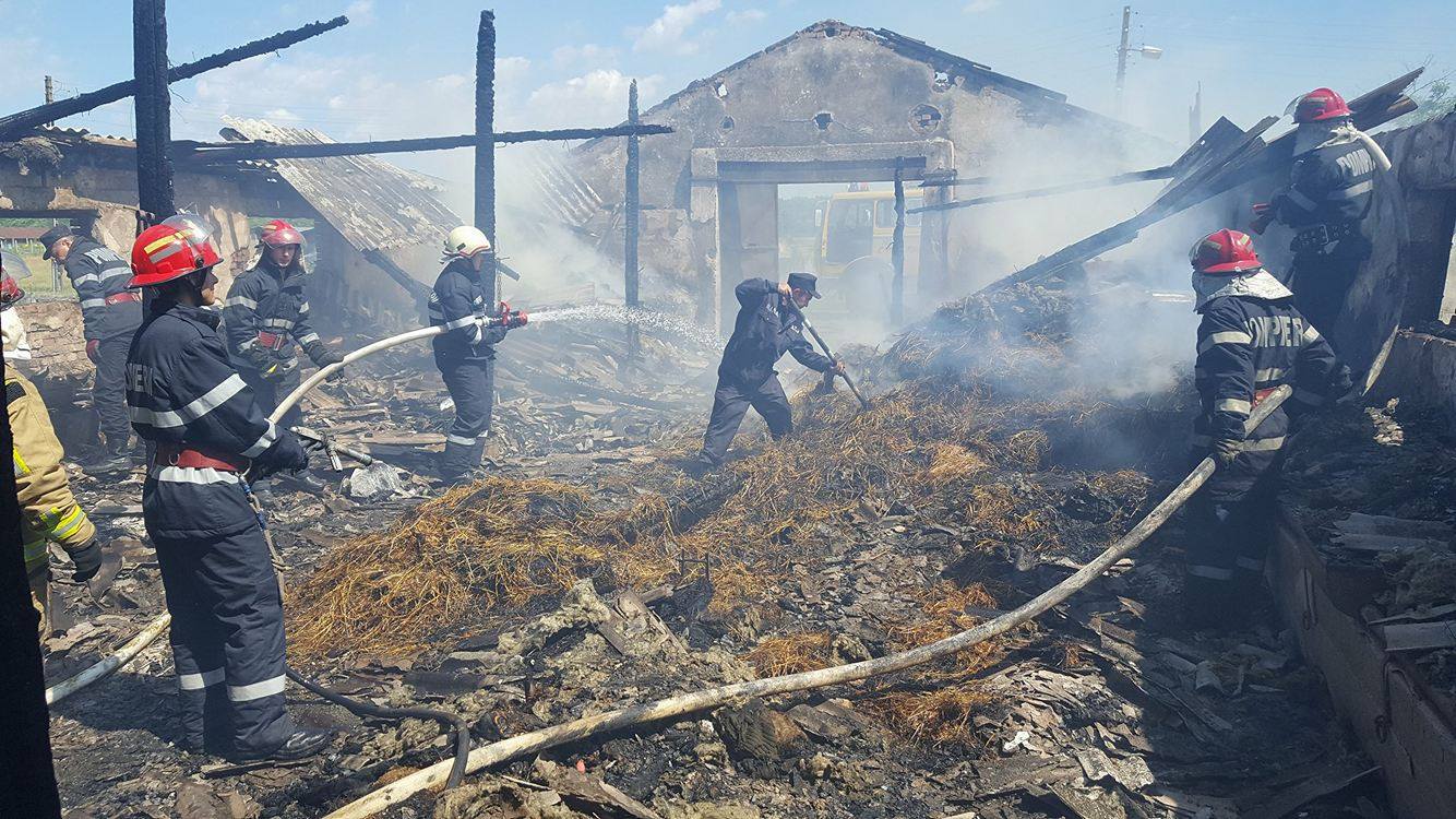 Incendiu ieri dimineata, in Miersig, la un adapost de animale (FOTO)