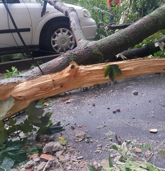 Furtuna in Timisoara 5 morti