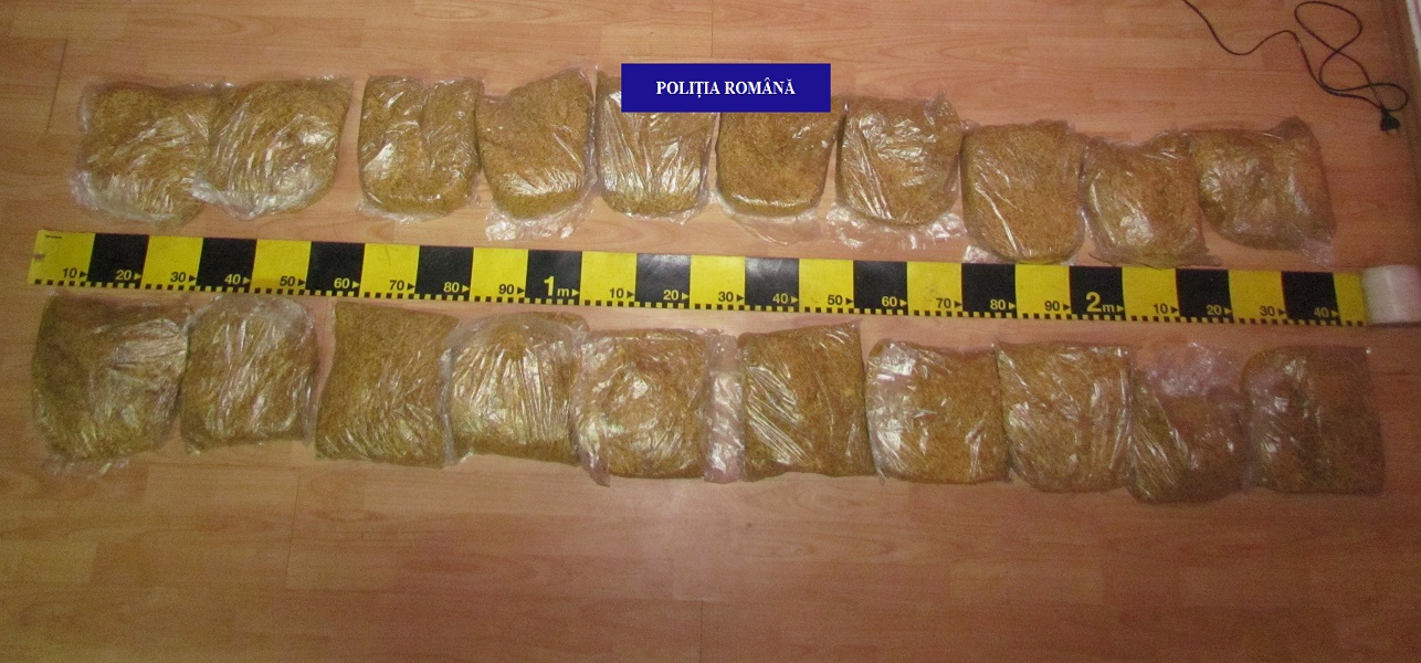 Dosar penal pentru un bihorean, prins cu 10 kg de tutun neprelucrat si nemarcat