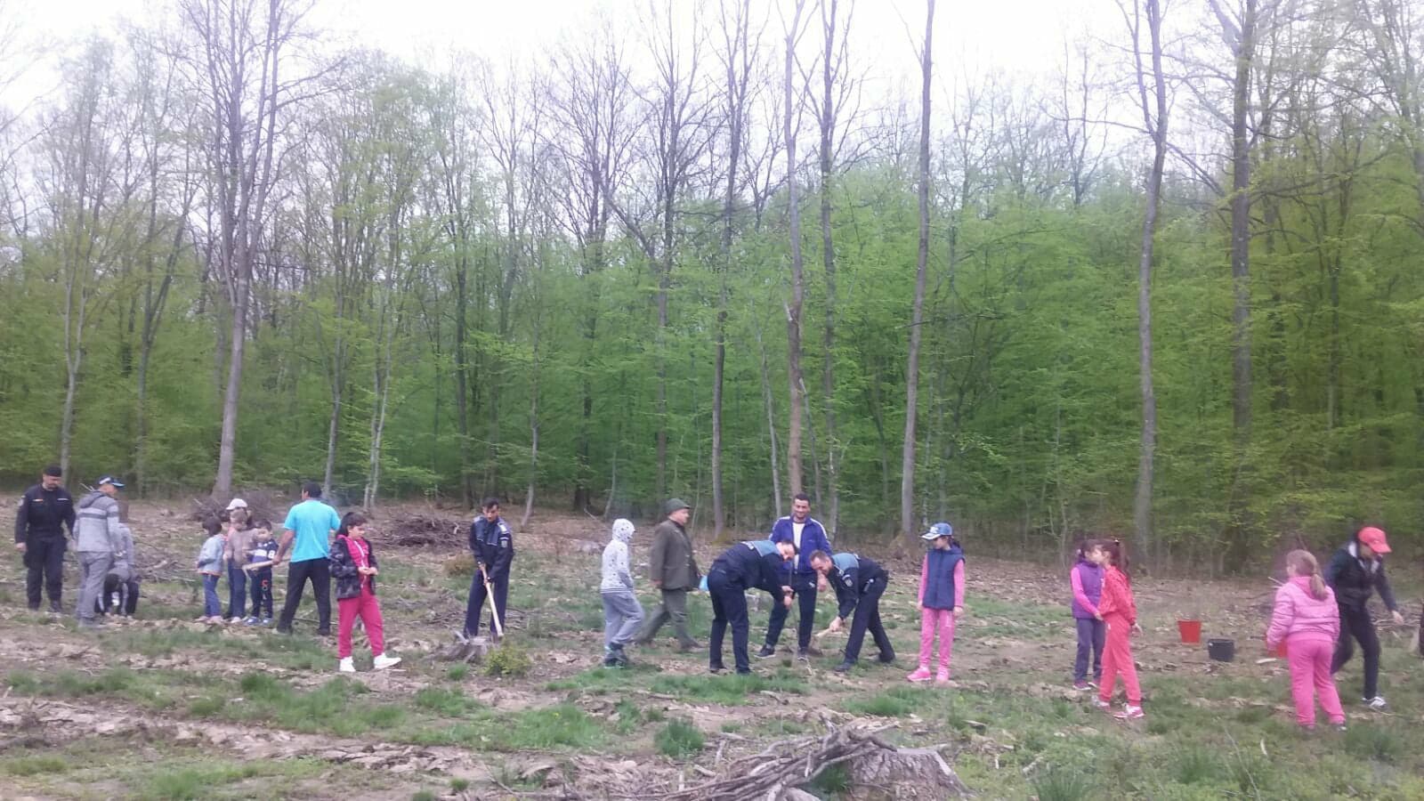 Polițiștii bihoreni, implicați în acțiunea „Luna Plantării Arborilor”, menită să regenereze fondul forestier.