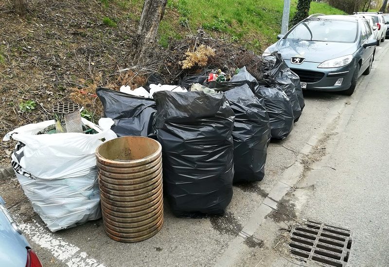 Primaria si mai multe ONG-uri au facut curatenie pe malul stang al Crisului Repede (FOTO)