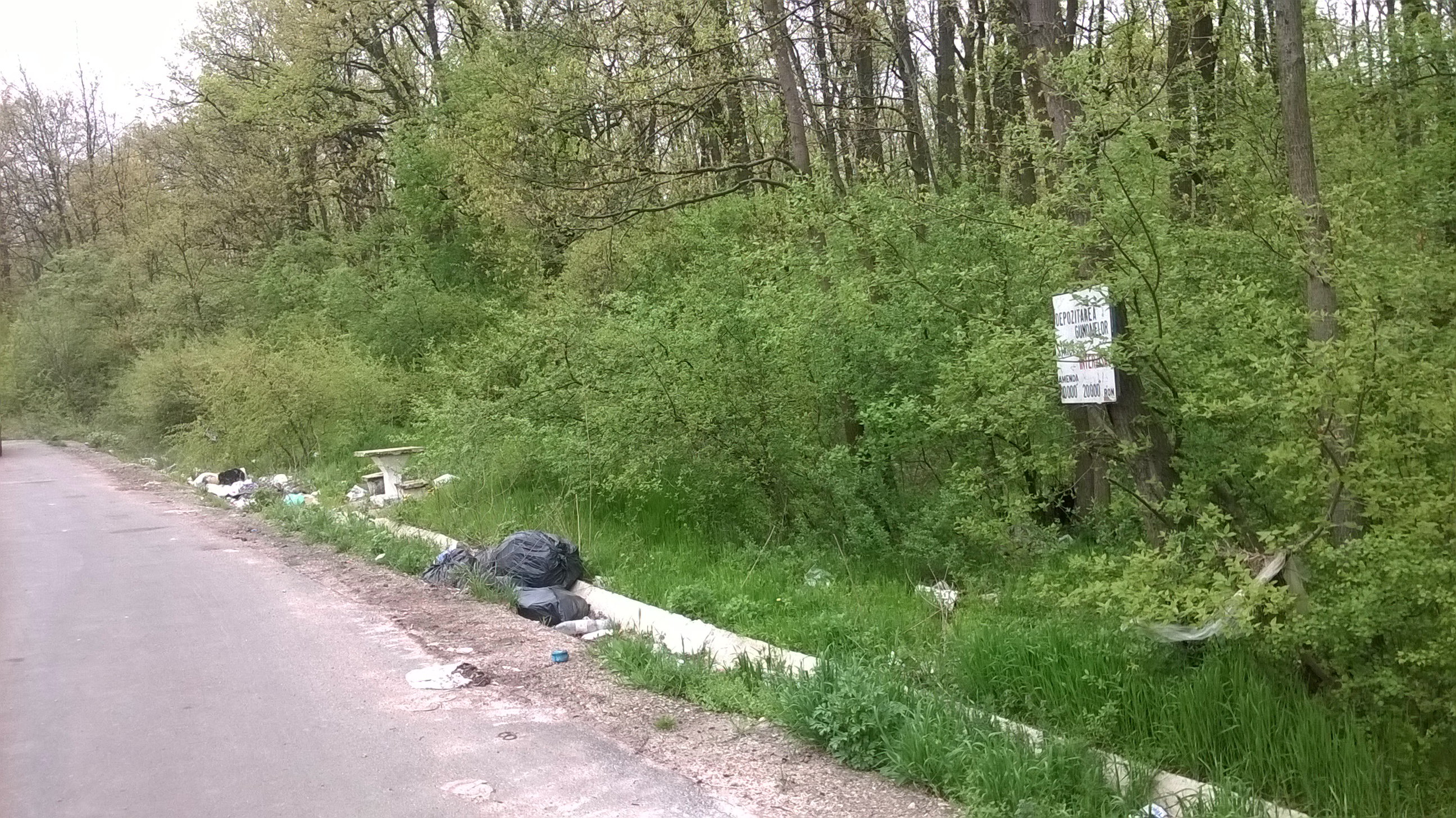 Gunoaiele abandonate pe marginea drumurilor judetene, curatate de angajatii CJ Bihor