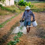 Cornel Popa: In agricultura se inregistreaza un deficit de forta de munca