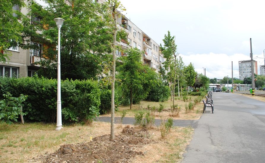Au fost plantati 272 de arbori in Oradea, in cadrul campaniei de primavara (FOTO)
