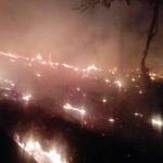 Incendii puternice in Muntii Padurea Craiului. Au ars zeci de hectare de litiera de padure (FOTO)