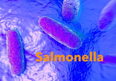 Focar de Salmonella la doua gradinite din Oradea, cauzat de o firma de catering