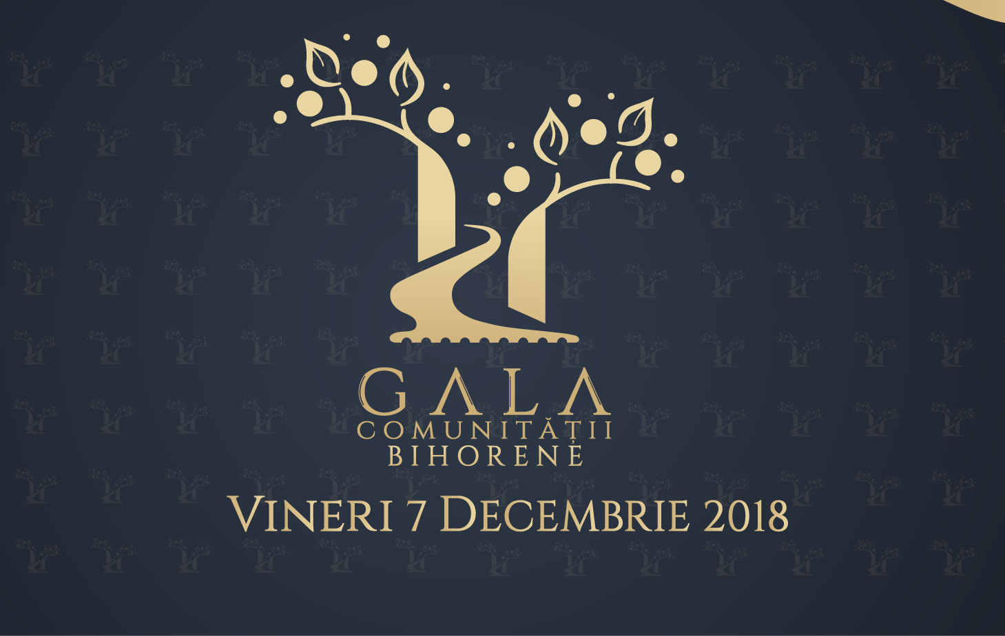 Gala Comunității Bihorene 2018 si-a desemnat castigatorii