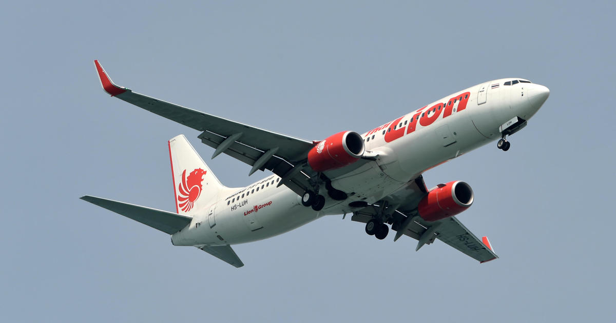 Avion prabusit in Indonezia, 189 de persoane si-au pierdut viata. Cautarile supravietuitorilor continua