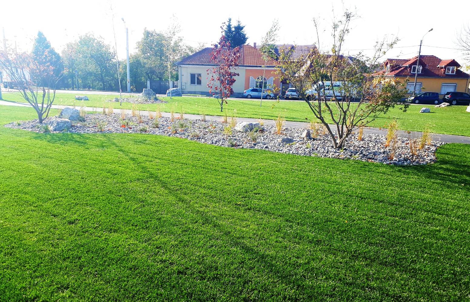Inca un teren viran din Oradea, transformat in oaza de verdeata (FOTO)