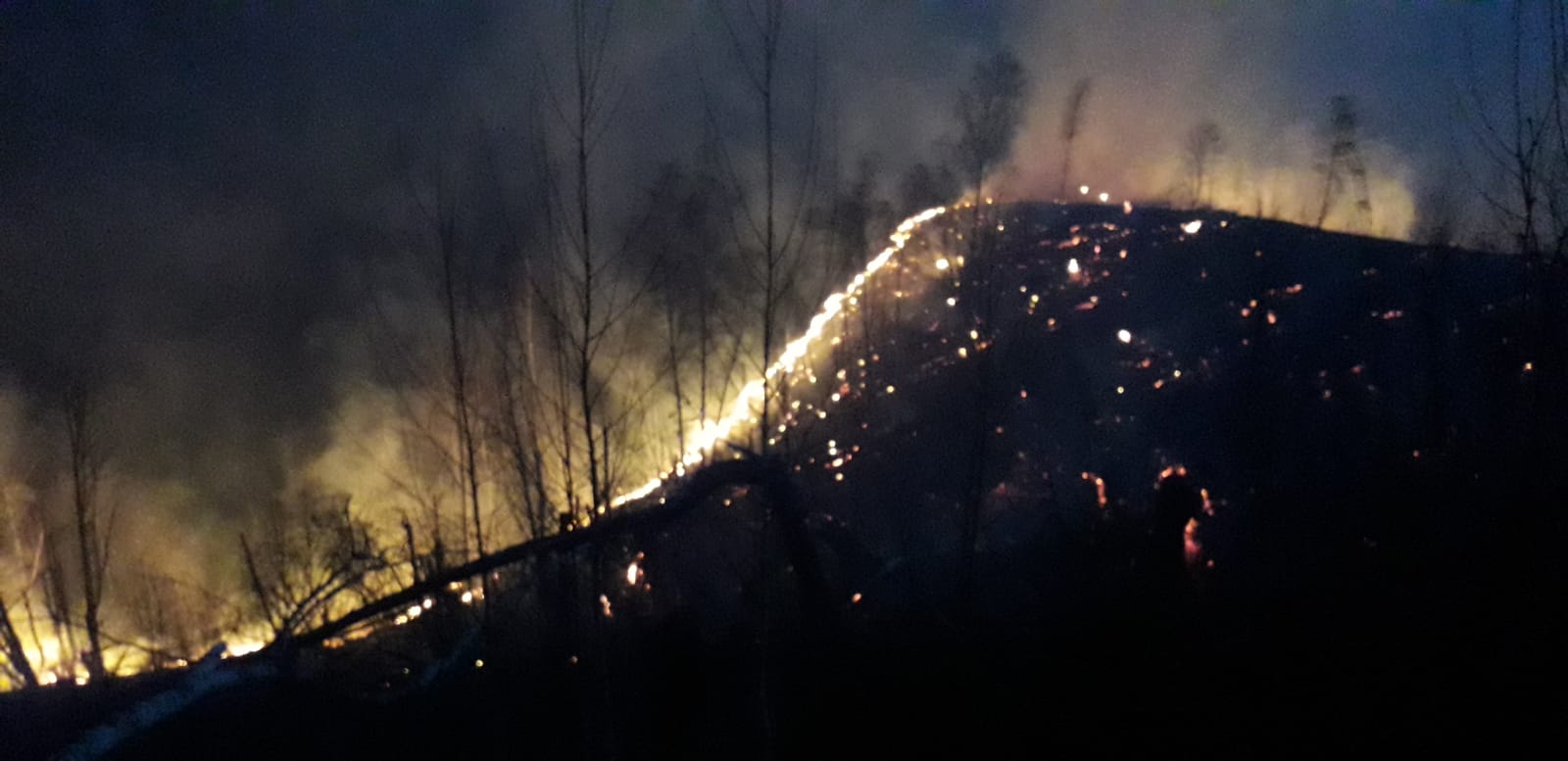 60 de hectare de terenuri virane si pasuni distruse in 11 incendii in judetul Bihor, intr-o singura zi