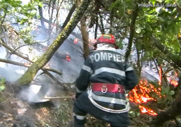 13 incendii de vegetație uscată produse în interval de 10 ore in judetul Bihor