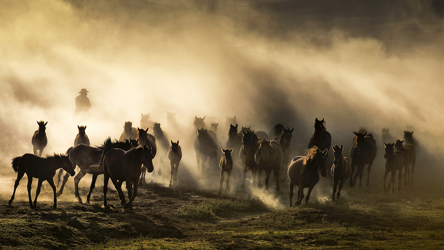 Expozitie a celor mai mari fotografi din tara la Oradea, in perioada 9 mai – 23 mai 2019