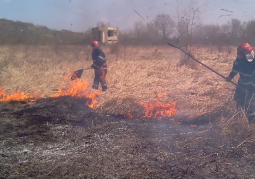 Șase incendii de vegetație uscată în două zile, in judetul Bihor, provocate de diverse persoane.