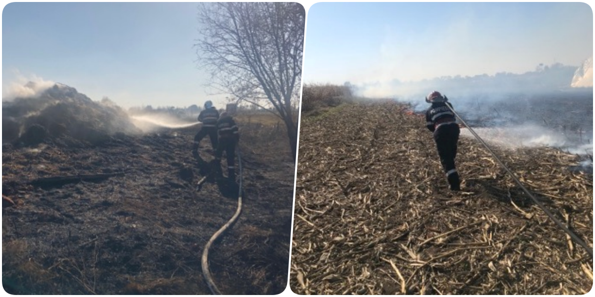 Iresponsabili! Incendiu de vegetatie provocat a ars cca. 4 hectare de lanuri de porumb, in Diosig