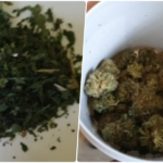 Cannabis confiscat in Oradea, de la o firma ce vindea on-line si en-detail