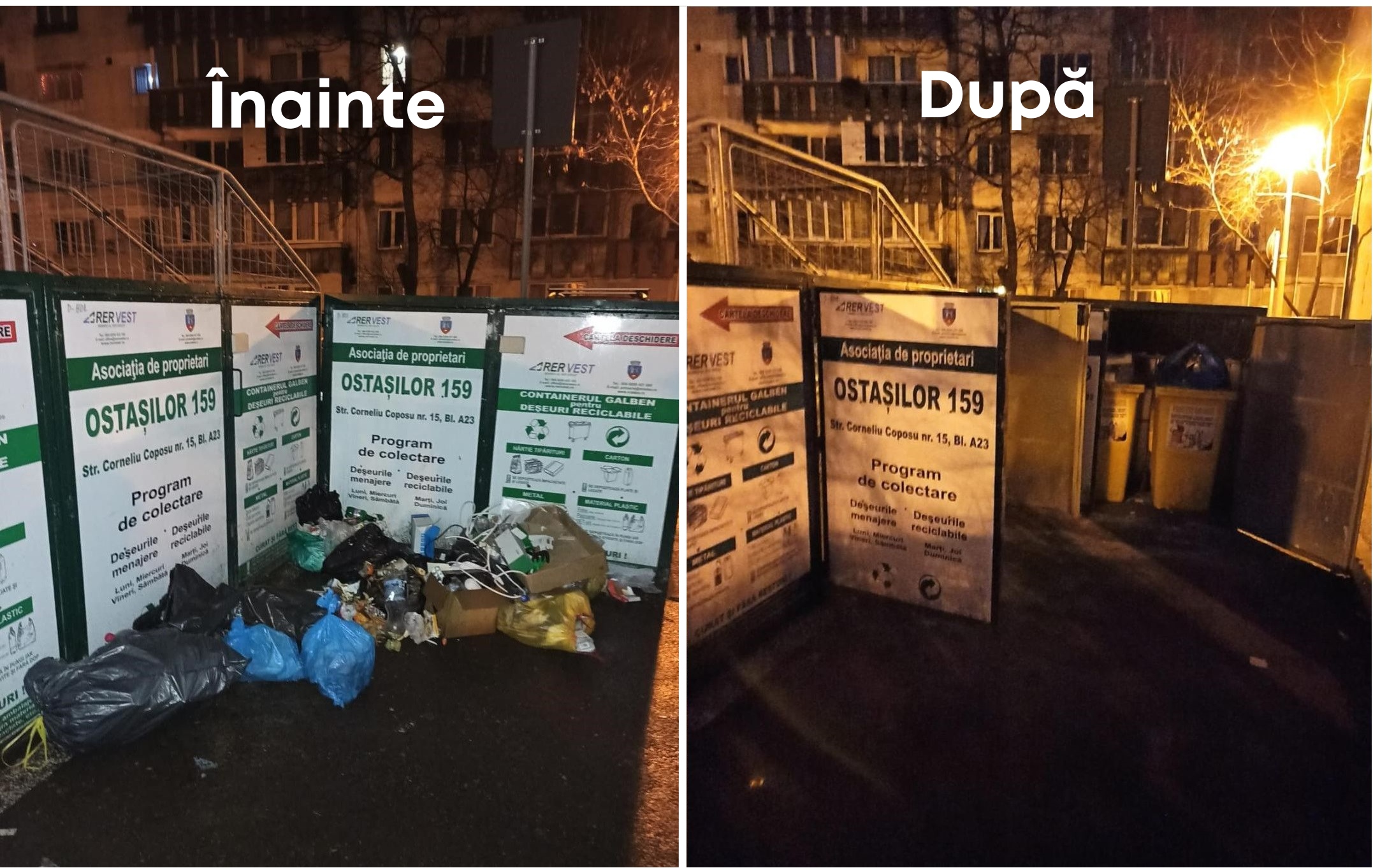 Viceprimarul Arina Mos: Curățenia orașului depinde de fiecare dintre noi