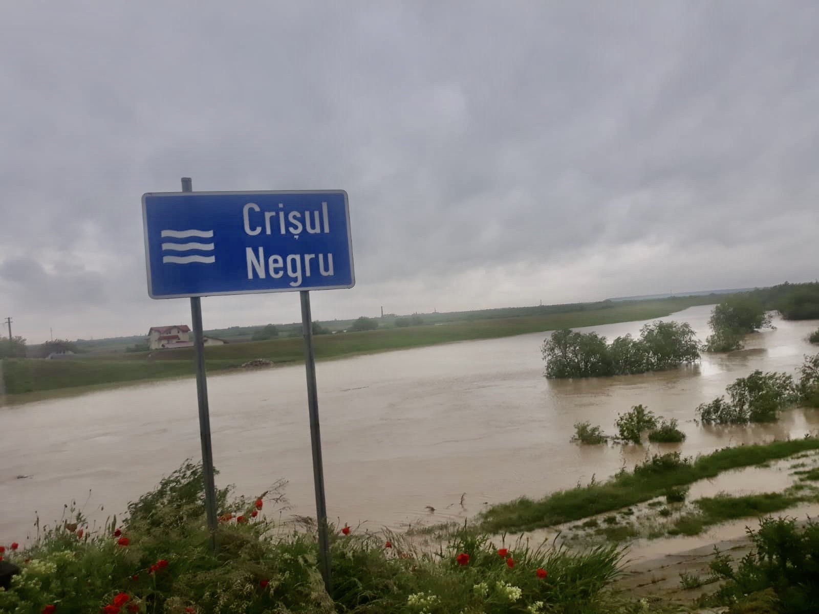 Inundatii istorice pe Crisul Negru, s-au înregistrat precipitații cumulate de 150 l/mp până la 200 l/mp