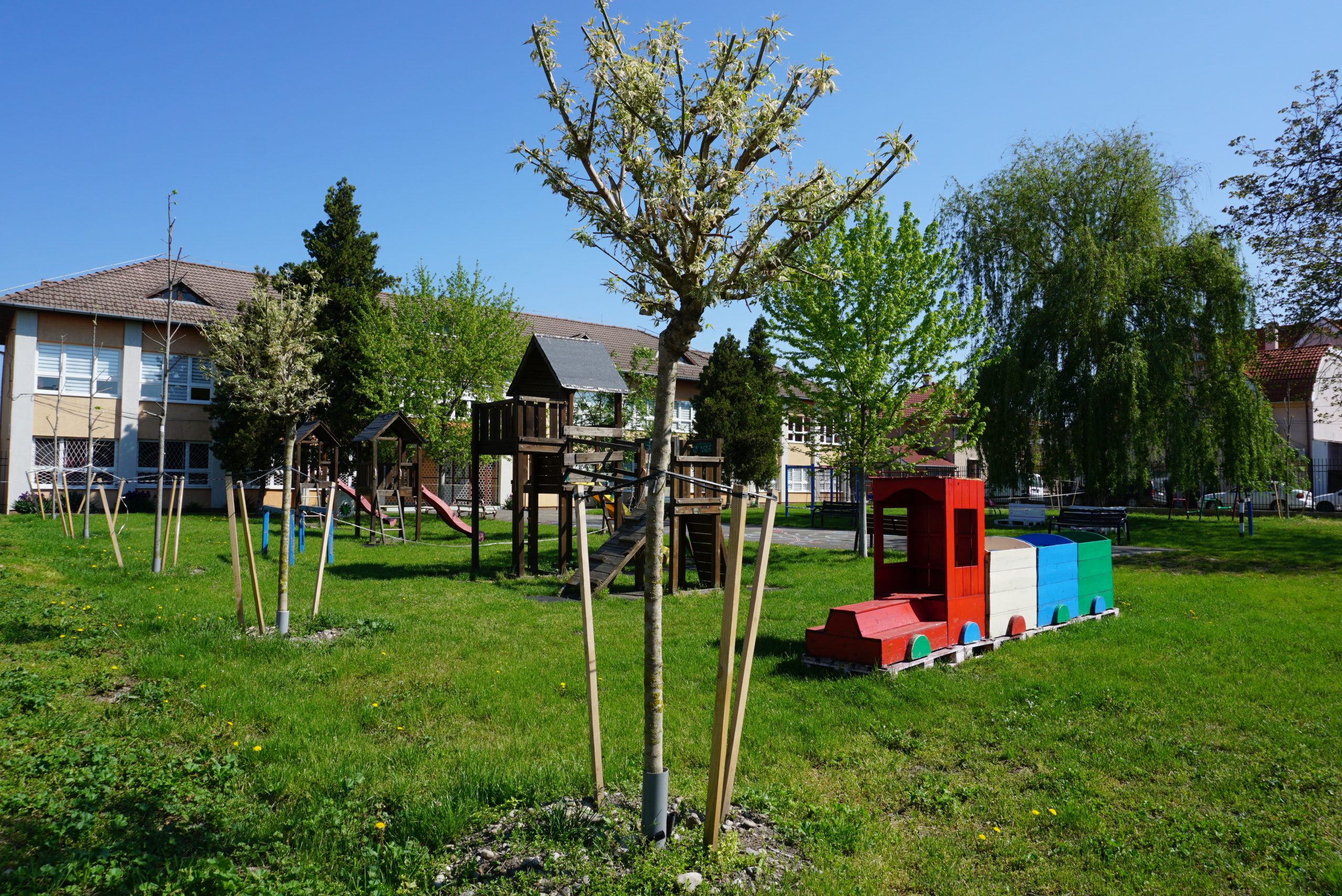 “Oradea verde” – 1350 de arbori au fost plantati in 2021, iar in 2022 urmeaza sa fie plantati alti 800 de arbori ornamentali