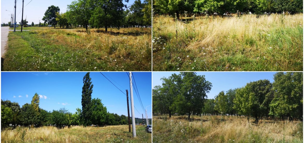 Inca un parc in Oradea. Primaria va construi un parc, pe o suprafata de 1,5 hectare, in Cartierul Tineretului