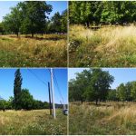Inca un parc in Oradea. Primaria va construi un parc, pe o suprafata de 1,5 hectare, in Cartierul Tineretului