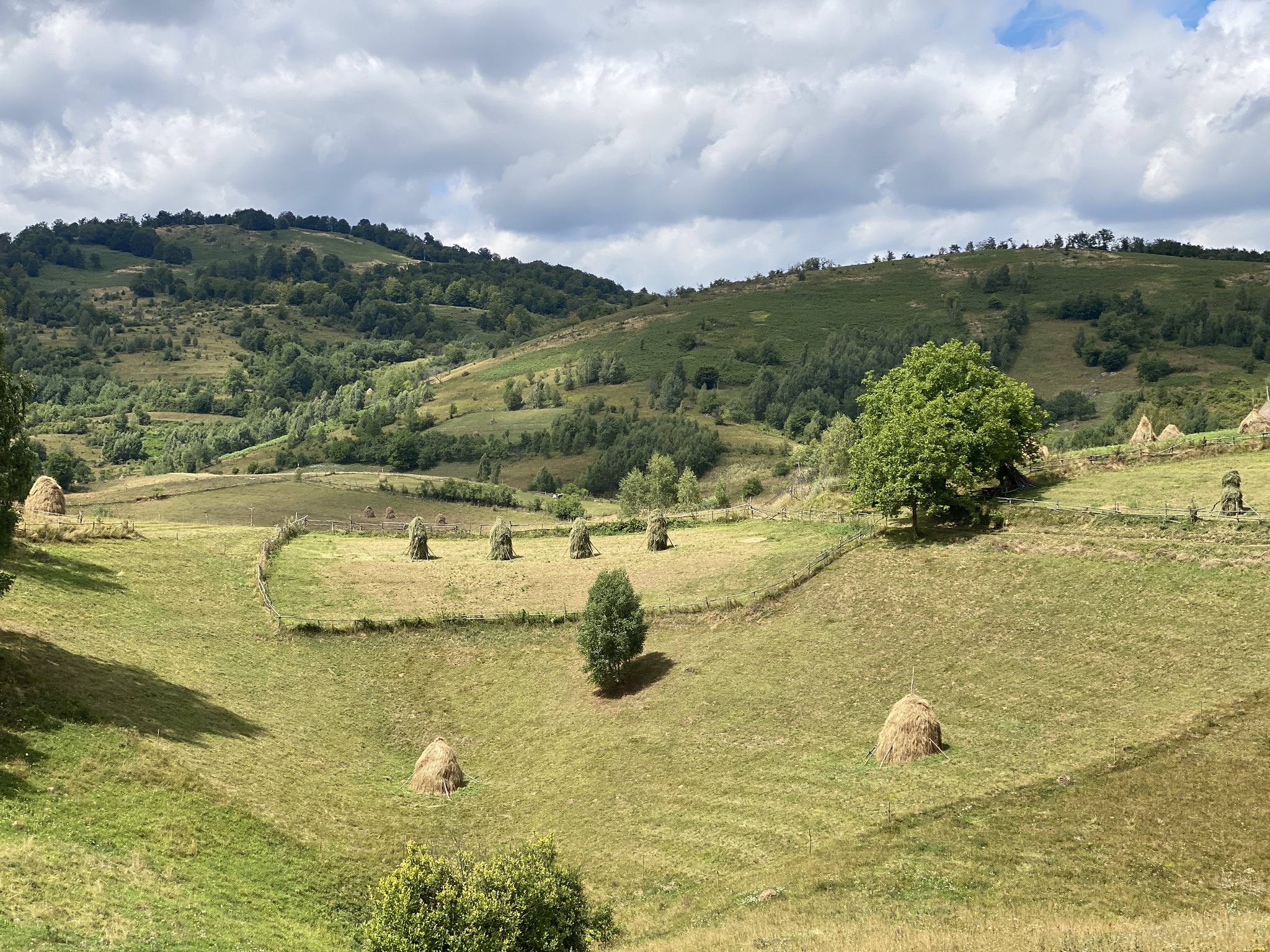 Proiecte pentru dezvoltarea turistică a Platoului Vașcău