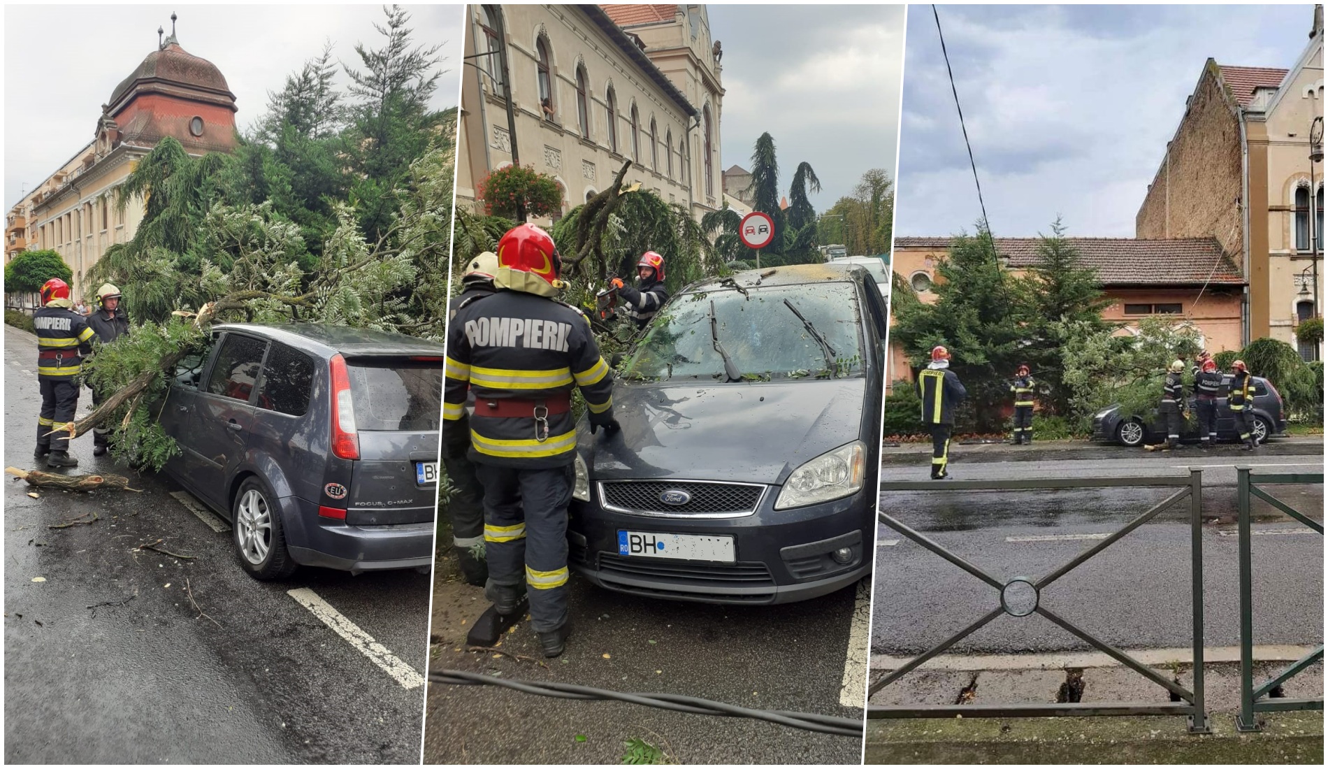 Vijelia din aceasta dupa amiaza a doborat mai multi copaci, in Oradea, Salonta si Baile Felix, pe carosabil si 4 masini. In doua autovehicule erau persoane