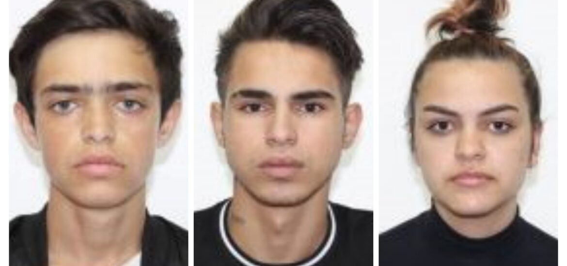 ðŸ”´ Alerta, minori disparuti! Trei minori au disparut de la o casa de tip familial din Paleu, judetul Bihor