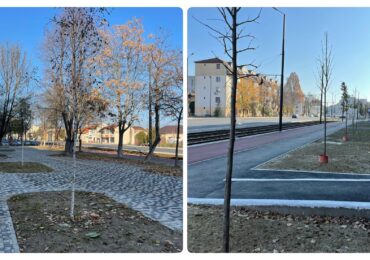 60 de pomi plantati in spatiile amenajate pe coridorul Nufarul-Cantemir
