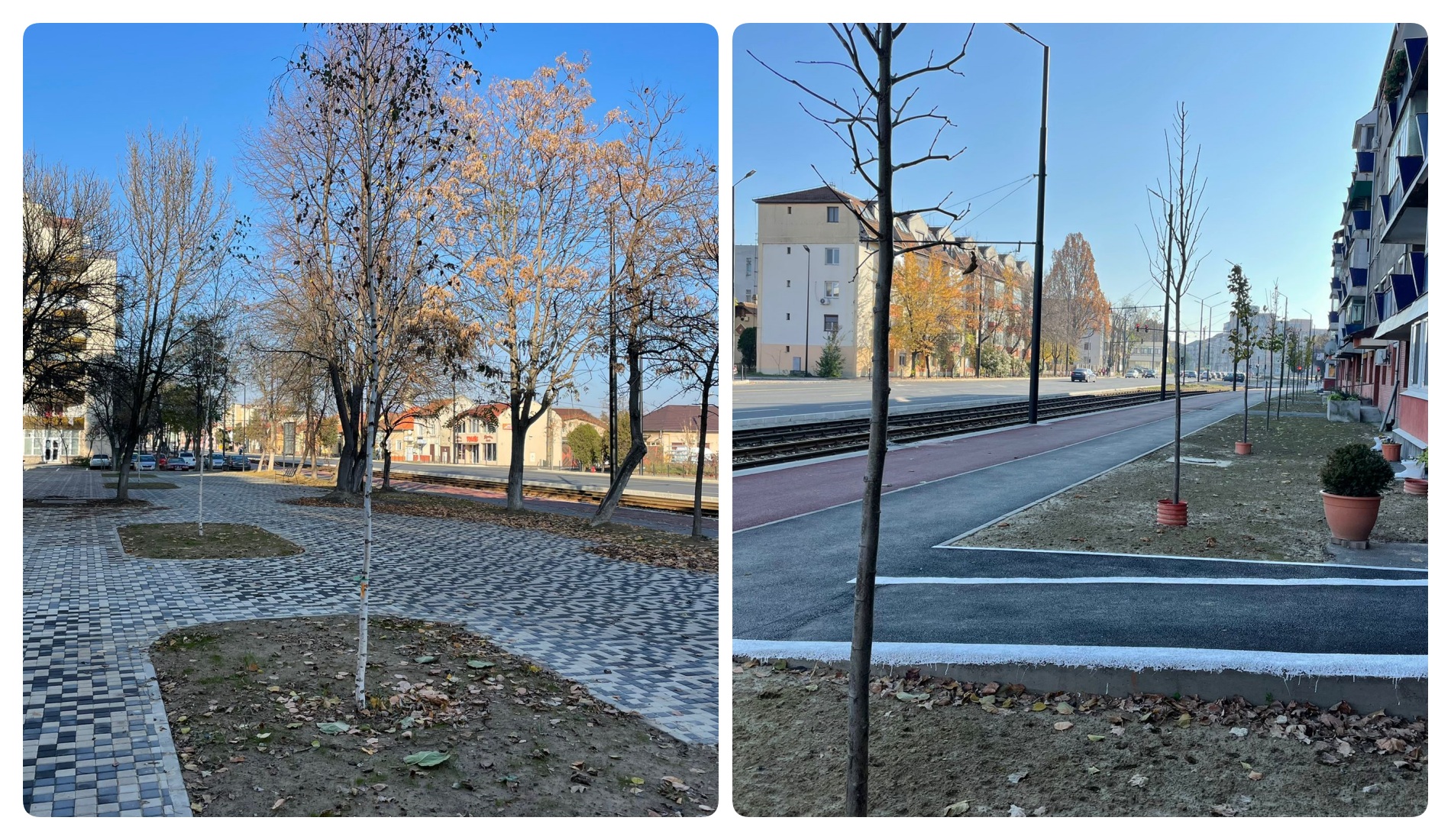 60 de pomi plantati in spatiile amenajate pe coridorul Nufarul-Cantemir