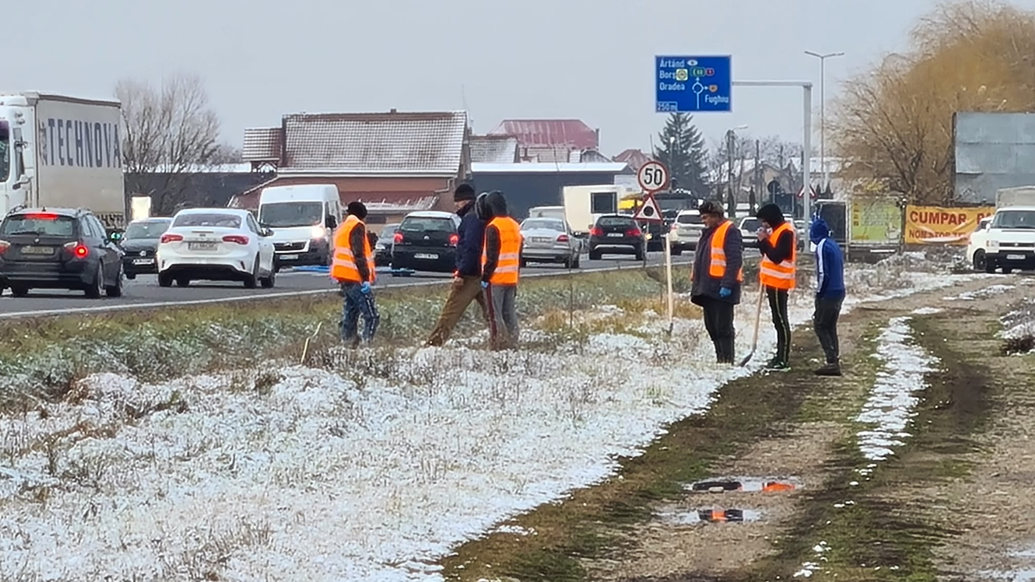 Numarul primariilor care au raspuns apelului CJ Bihor, plantand arbori de-a lungul drumurilor, a ajuns la 11