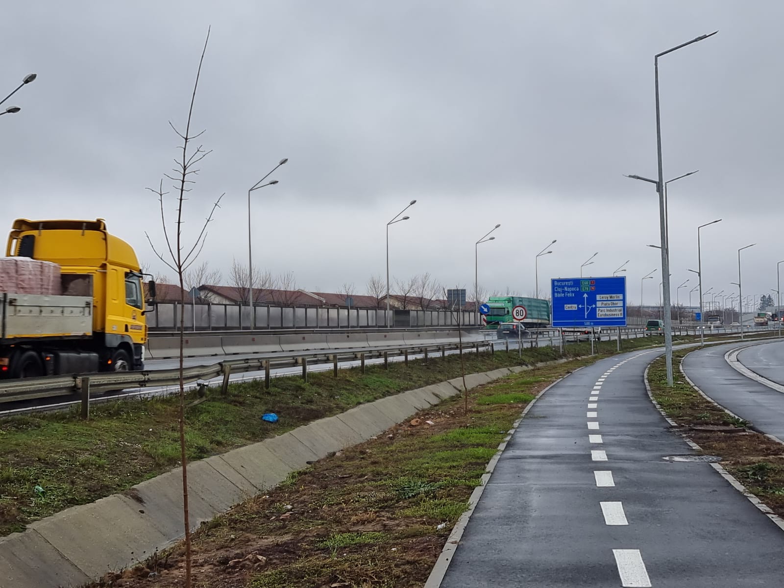 200 de arbori plantati in Oradea in luna noiembrie, in parteneriat cu CNAIR