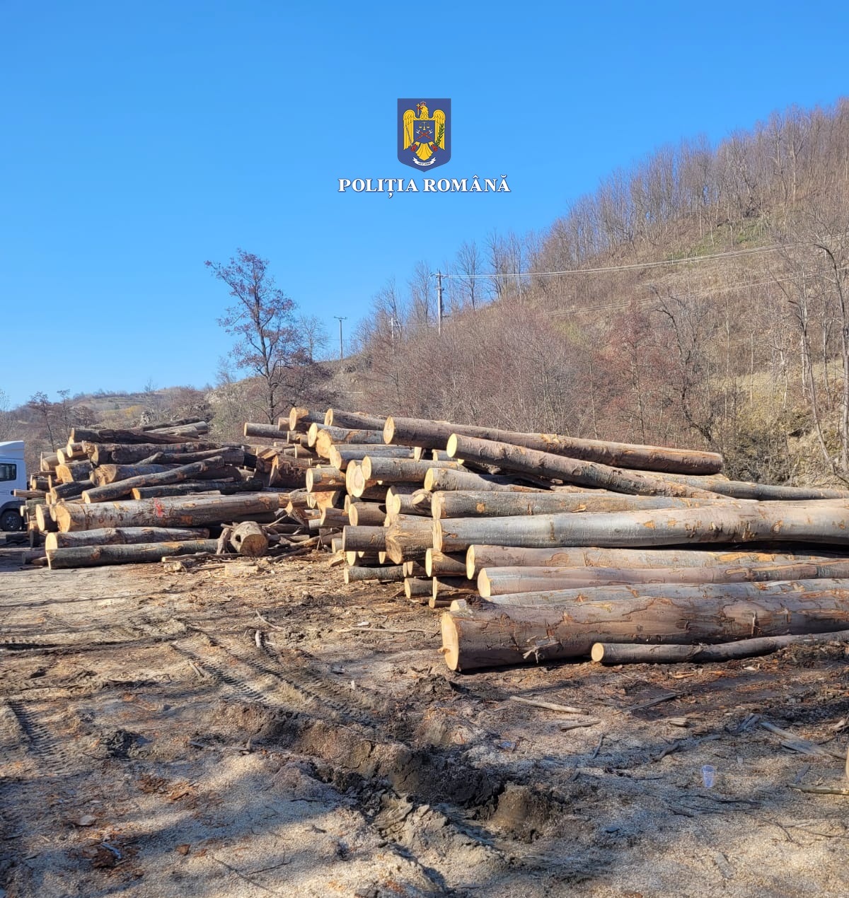 Peste 108 metri cubi de material lemnos fără forme legale, în valoare de aproape 34.181 de lei, confiscați faptic sau valoric de polițiștii bihoreni, în cadrul unei acțiuni comune.