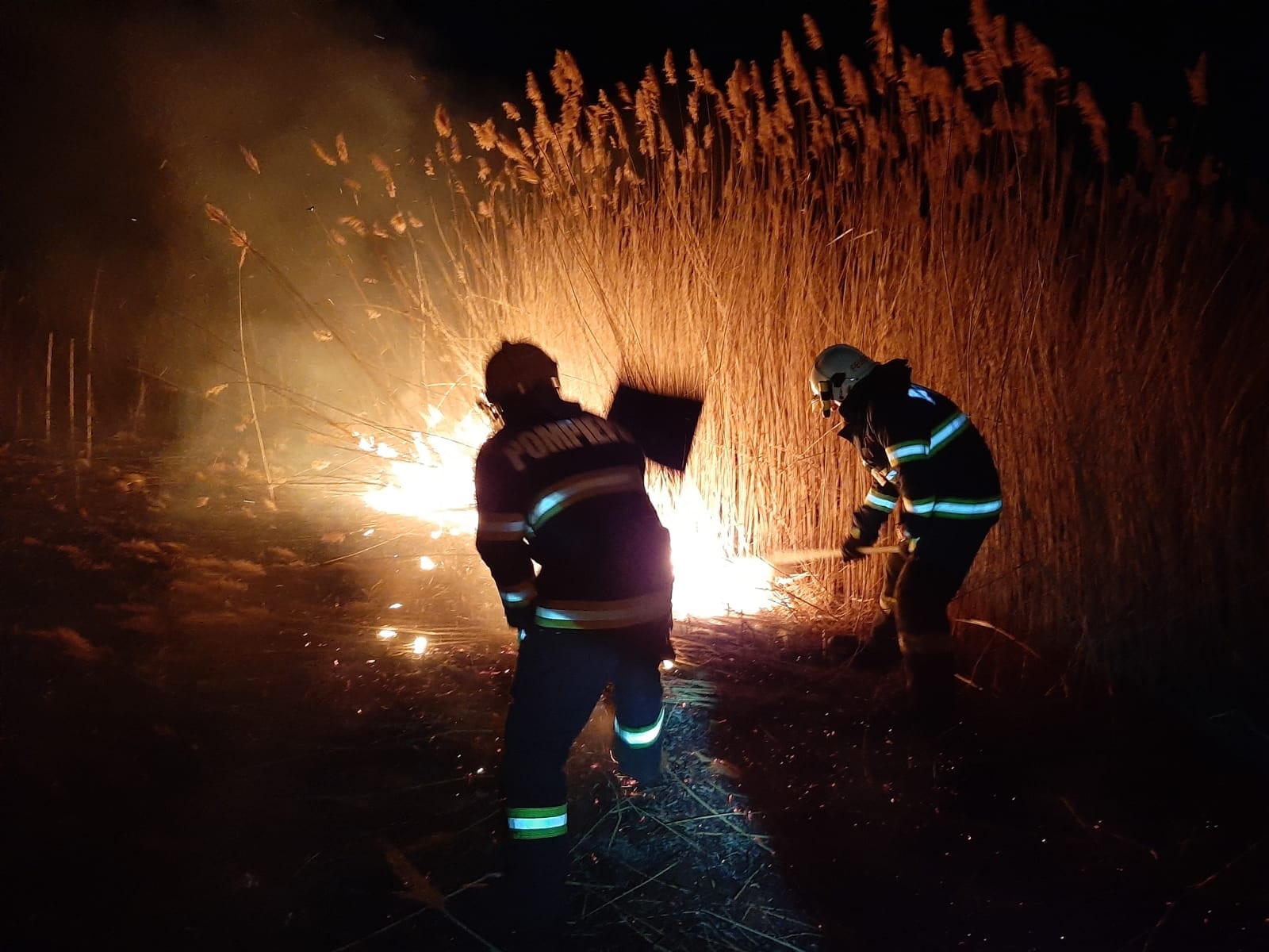 Alte 17 incendii de vegetatie in Bihor, in doar 24 de ore. Din pacate o persoana a fost gasita carbonizata. Incendiile au devastat paduri, livezi si gospodarii
