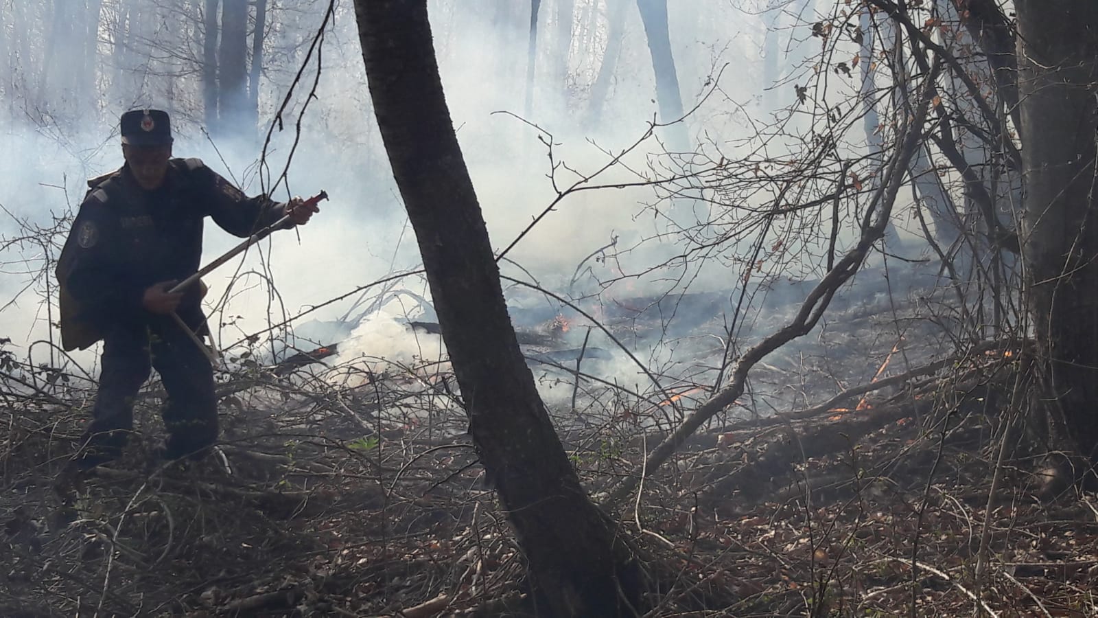Zece incendii de vegetatie intr-o singura zi, in judetul Bihor