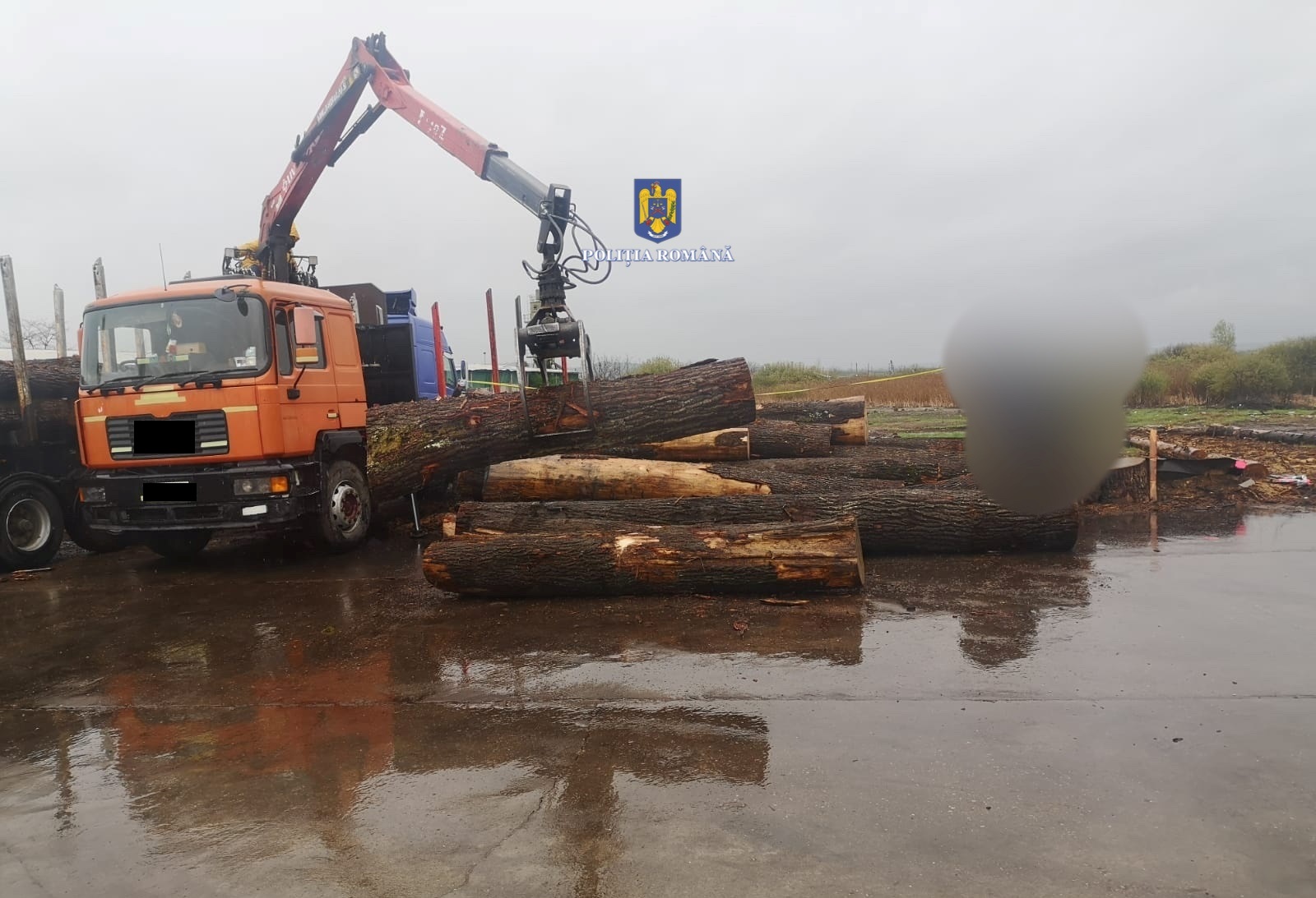 Aproape 65 de metri cubi de material lemnos fără forme legale, în valoare de peste 12.000 de lei, confiscați valoric sau faptic de polițiștii bihoreni, în cadrul unei acțiuni comune.