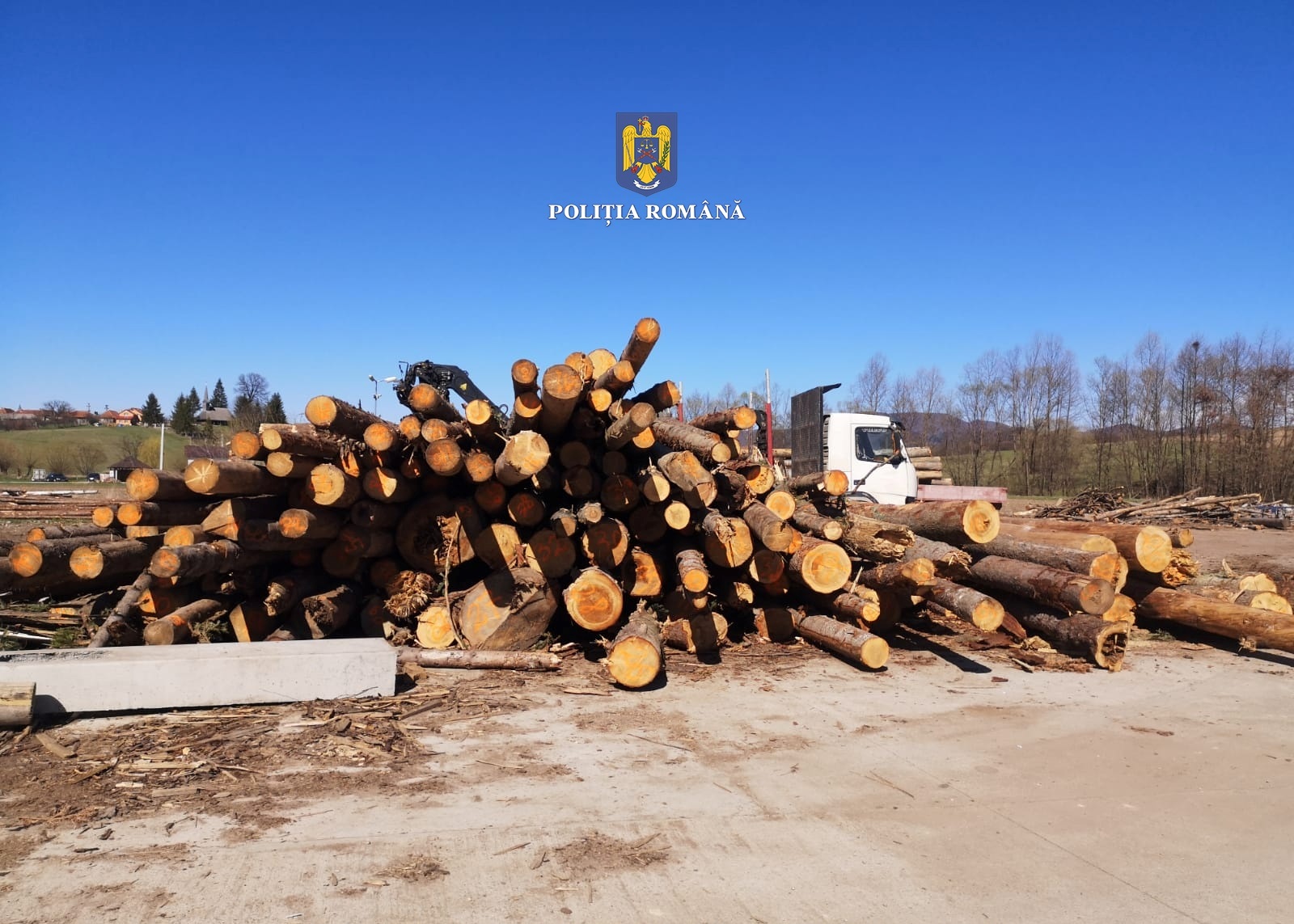 Peste 63 de metri cubi de material lemnos, fără proveniență legală, în valoare de 16.861 de lei, confiscați valoric de polițiștii bihoreni